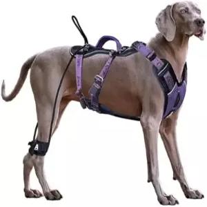 대형견을 위한 ANAFNI 노 풀 도그 하네스 손잡이가 있는 헤비 듀티 전술 쉬운 제어 및 훈련 더 나은 목줄