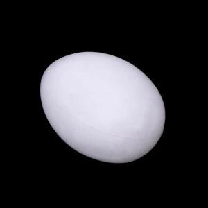 5Pcs 고체 앵무새 플라스틱 계란 녹색 뺨 호환 흰색 부화