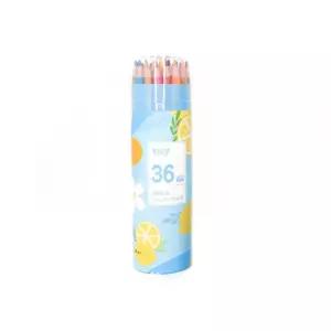 채점 36색 지워지는 색연필 세트