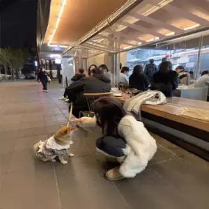 헐크 여자 재킷 가죽 슬림핏 퍼 일체형 코트 KKE1