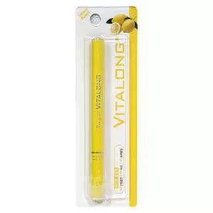 명문이지팜 비타롱 플러스 옐로우펀치/레몬 비타민 흡입기