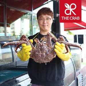 더꽃게 러시아 활 킹크랩 1마리 레드 블루 브라운 하나사키 시세 택배