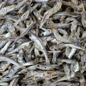 [울돌목] 남해안 가정용 다시멸치 1.5kg /육수용