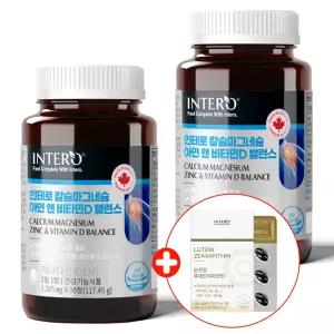 인테로 뼈건강 칼슘 마그네슘 아연 비타민D 2개 캐나다 칼마디 칼마아디 골다공증 코랄칼슘