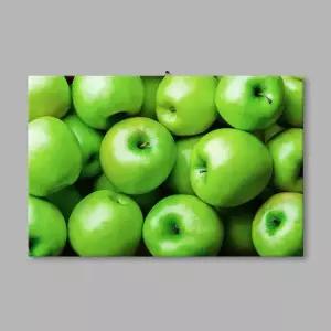 돈이들어오는 풋사과 풍수 인테리어 아크릴 액자 600 풋사과 청사과 해바라기 아크릴그림