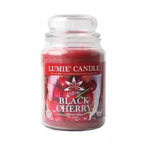 아트박스/르미에 캔들 르미에 라지자 캔들 570g 12종 아로마 향초 양초