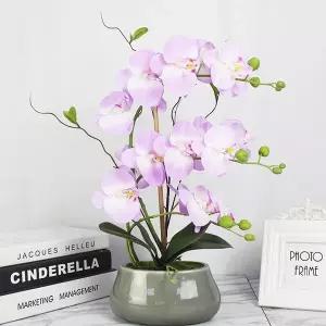 [라미컴퍼니]조화 호접란 인테리어 화분 소품 인조꽃 화이트 서양난 생화같은 중 서양란 조화꽃 꽃