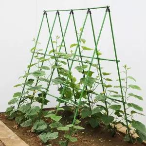 오이 지지대 넝쿨 식물 지주대 텃밭 활대 랙 브라켓 과수 토마토 고추 가드닝