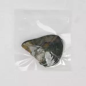 진주캐기 이색 체험 키트 진주조개 목걸이 보석 천연