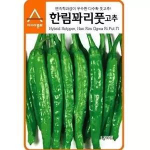 고추 고추씨앗 한림 꽈리 풋고추 30립 종자