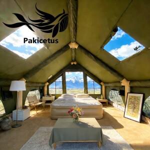 PAKICETUS 풍선형 캠핑 텐트 4-8인용 창문이 있는 휴대용 방수 4계절