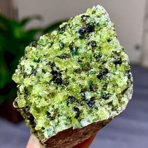 1개 천연 페리도트 크리스탈 클러스터 샘플 장식 신선한 녹색 선물 홈 데코레이션 수집가용