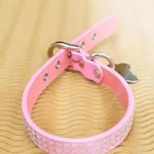 [반려] 자동줄 핑크 레인보우 산책줄개줄 목줄 강아지줄