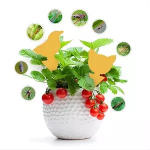 홈가드닝 원예용품 화분 벌레 퇴치 끈끈이 트랩 진딧물 뿌리파리 제거 식물 살충