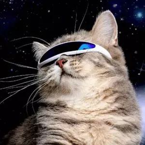 강아지 미래 썬글라스 블랙 1P 도글라스 반려견 소품