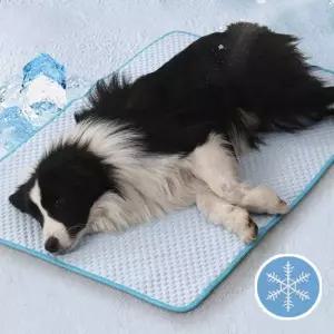 [RIZPICK]강아지 대형견 쿨매트 매트 XL XXL 고양이 쿨방석 냉감패드 애견