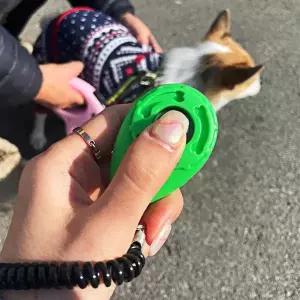 [RIZPICK]훈련용 딸깍이 손목걸이 강아지 클리커 강아지 버튼