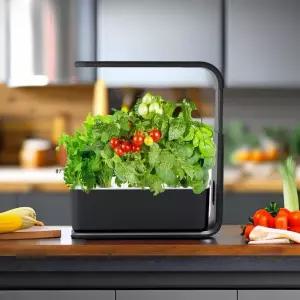 야채 재배기 스마트팜 텃밭 새싹 식물 가꾸기 기르기