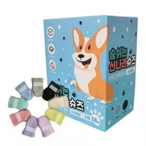 겨울산책 염화칼슘 발보호 소형견 슈즈36p 편한슈즈 시츄 스피츠 가성비 신발