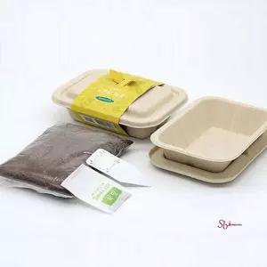 어린이 키트 유채 새싹 재배 씨앗 채소 웰빙yza049