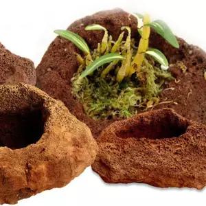 스톤화분 가습효과 옹기다육이 산석인테리어 분갈이 도자기 테라코타 다육이 미니 선인장 야생