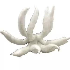 구미호 꼬리 할로윈 분장 코스튬 컨셉 코스프레 여우 소품