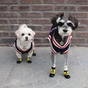 양말 소형견 신발 3color 산책용 강아지 애견 겸 방수