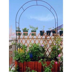 포도나무 식물 지지대 클레마티스 로즈 트렐리스 식물원 접이식 지주대 아이비 장미