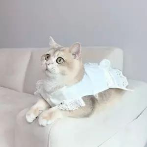 고양이 옷 레이스 실내복 뷔스티에 3size강아지패션 애견 모자 코스튬 펫소품 홈파 의상 반려용품 파용품