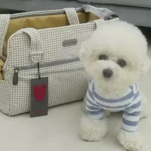 [반려] 강아지이동가방 레일 이동가방 아몬드다크그레이 이동장 경량이동가방