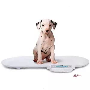 유아용 체중계 저울 아기 강아지 고양이 신생아hij065