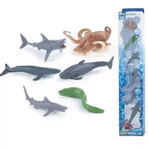 동물학습 친구들 백상어와hij954