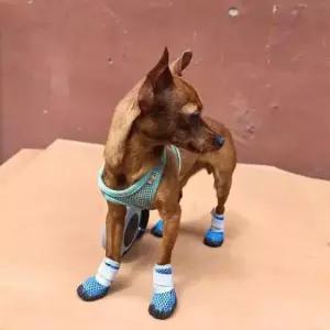 [반려] 강아지 미끄럼방지 신발 산책 메쉬 여름 애견 실내외