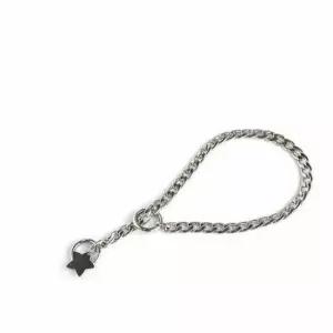 [반려] 강아지 쵸크체인 2호 반려견목걸이 강아지네임택 강아지이름표목걸이