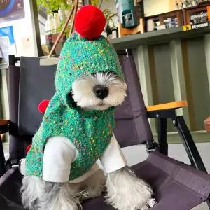 강아지 반려견 니트 겨울옷 코스프레 대형 반려동물 추모