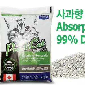 고양이 모래 배변 모래 sand