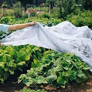 식물 보호 커버 정원 텃밭 방충 화분 덮개