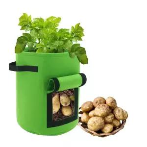 감자 키우기세트 키트 새싹 재배기 어린이 재배 체험 관찰학습/부직포화분가방 미니텃밭 화분커버 친환경 식목일행사 미니정원 식물재배 체험키트