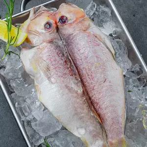 제주 자연산 손질 옥돔 2마리(마리당 350g이상) 반건조 동문시장 택배 명절선물 제주특산품