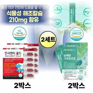 구강 이빨 잇몸 건강 케어 식물성 해조칼슘 덴탈 락토바실 유산균 영양제 각 2박스
