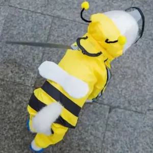 [반려] 꿀벌 강아지옷 우비