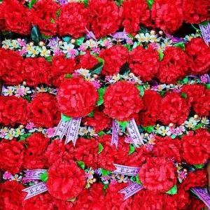 화분받침 카네이션 조화 (100개)-B형 옷핀포함 단체 행사 바퀴달린화분받침