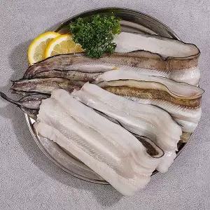 [지투지샵]G1987 바다장어 손질후중량 600g