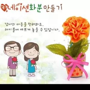부모님 만들기 카네이션 어린이집 미술 키트 DIY 화분 스승의날 어버이날 초등 선물 가정의달 꽃