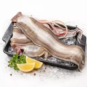 산지직송 자연산 손질 특대 바다장어 1kg 소스2종 서비스