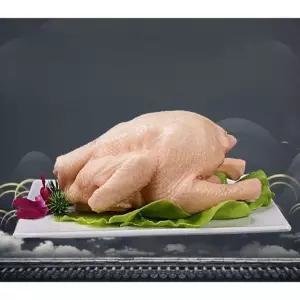 가짜 닭 생닭 모형 치킨 통닭 식당 인테리어 윙 가슴살 삼계탕 디스플레이 날개