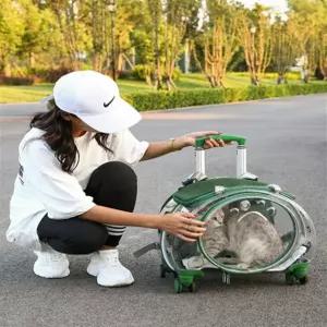 투명 이동장 펫캐리어 가방 고양이 외출 강아지 산책 켄넬 바구니