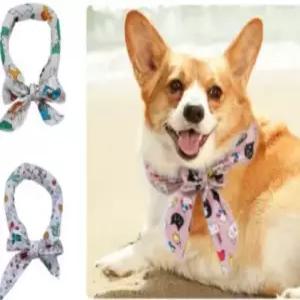 쿨튜브 아이스팩 애견 반려동물 반려견 쿨링 넥카라