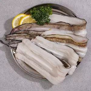 G1987 바다장어 손질후중량 600g