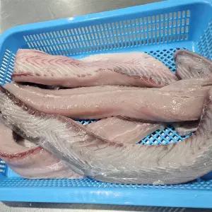 국내산 대삼치회 500g